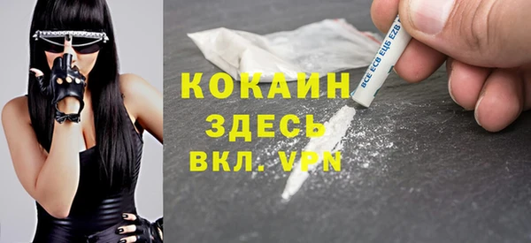 шишки Белоозёрский