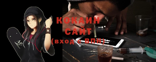 дживик Бородино