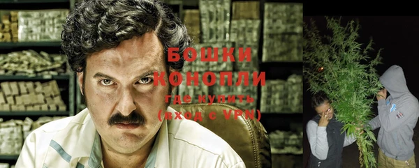 шишки Белоозёрский