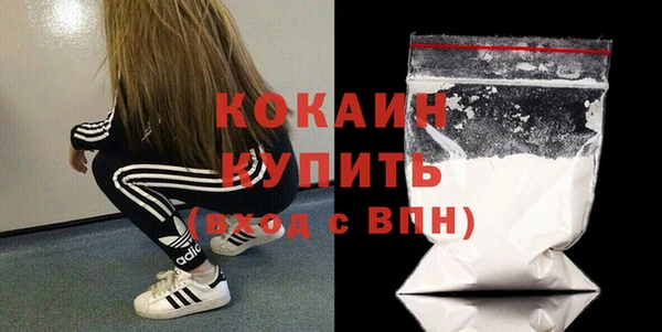 шишки Белоозёрский
