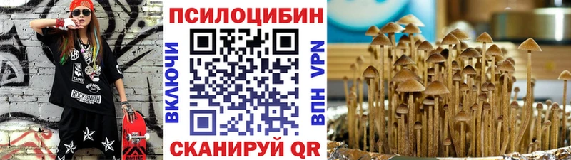 Галлюциногенные грибы мицелий  Билибино 